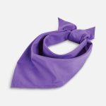 Шейный платок Bandana — знакомый с детства и вновь актуальный аксессуар. Платок можно использовать как головной убор