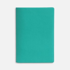 Обложка для паспорта Devon, бирюзовая