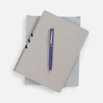 Набор Flexpen, серебристо-синий