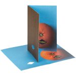 Как яркие краски фруктов прячутся под крышкой коробки