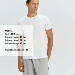 а также детские модели в линейке<br></li></ul><br><div id="tablemer"><img width="90" src="//files.giftsoffer.ru/images/tablemer/Tshirt_no_sleeve.svg"/><table border="1" cellpadding="5" cellspacing="0"><tr align="center"><td>Таблица размеров