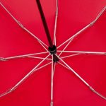 добавляют внешнему виду зонта футуристичности. <br><ul class="list"><li>Зонт-автомат