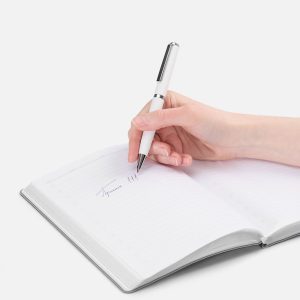 Ручка шариковая Inkish Chrome в футляре
