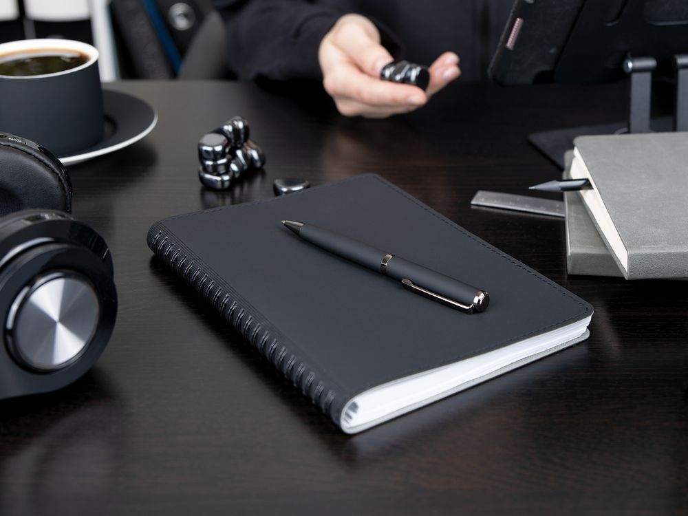 Ручка шариковая Inkish Gunmetal в футляре