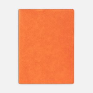 Ежедневник в суперобложке Brave Book, недатированный, оранжевый