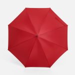 8 спиц</li><li>Внутренняя часть купола серебристая</li><li>J-образная ручка с покрытием софт-тач<br></li><li>Наконечник из металла</li><li>Поставляется без чехла</li></ul>