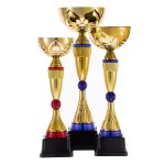 Большой кубок Awardee — отличная награда за первое место участникам спортивных соревнований.<br>Поставляется в индивидуальной транспортной упаковке.<br><br>Заметные спайки на пластиковых деталях изделия обусловлены особенностями литья.