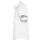 см</td><td>S<br></td><td>M<br></td><td>L<br></td><td>XL<br></td><td>XXL<br></td><td>3XL<br></td><td>4XL<br></td></tr><tr align="center"><td>A</td><td>56</td><td>60</td><td>64</td><td>68</td><td>72</td><td>76</td><td>80</td></tr><tr align="center"><td>B</td><td>79</td><td>80</td><td>81</td><td>82</td><td>83</td><td>84</td><td>85</td></tr><tr align="center"><td>C</td><td>20