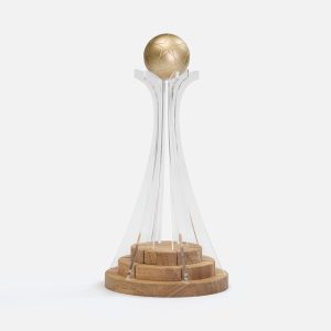 Кубок Everball, c 3D элементами