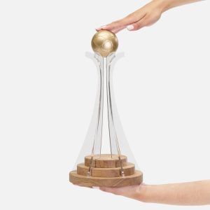 Кубок Everball, c 3D элементами