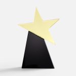 что признанный успех — далеко не случайность.<br><br>Stardom. Для тех