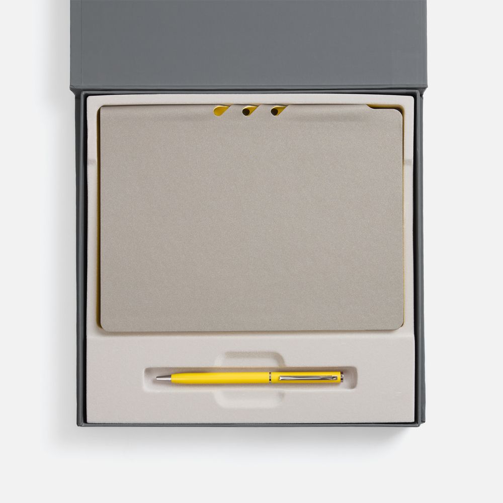 Набор Flexpen Grey, желтый