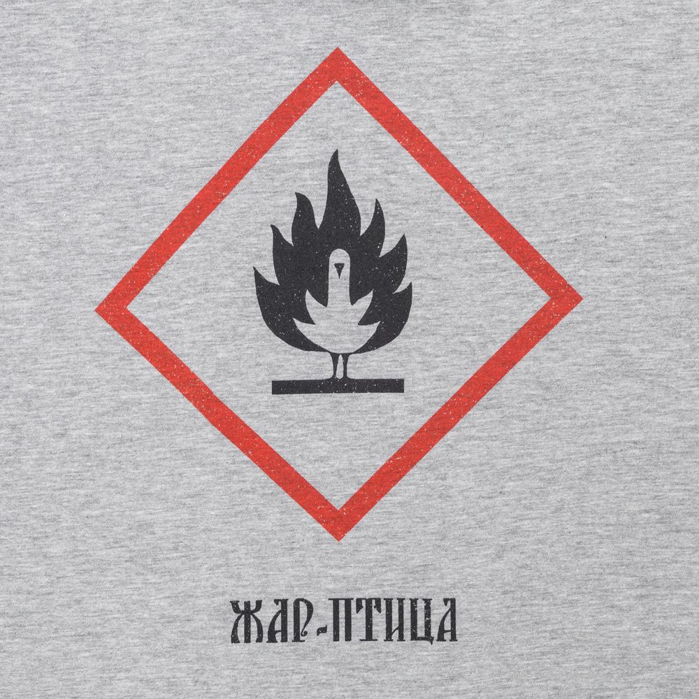 Футболка «Жар-птица»