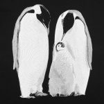 ворот – резинка
